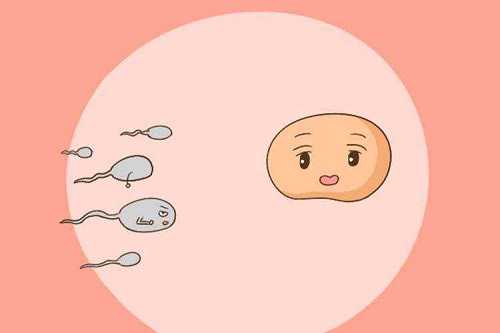 长沙供卵试管推选孕宝国际