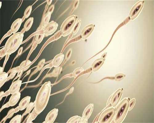 供卵增卵机构-长沙第三代试管婴儿成功率是多少？