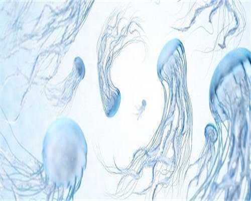 泰国试管婴儿中介公司客户服务，贴心周到