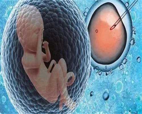 美国试管婴儿成功后营养安胎饮食禁忌