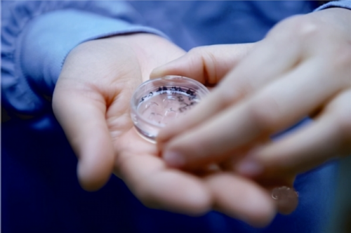 试管代怀孕-邵阳试管婴儿成功率哪家医院更值得选择？哪家医院成功率高？五家一览