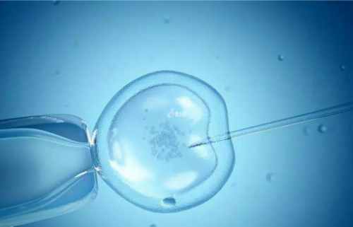 多囊卵巢饮食注意什么（多囊卵巢综合征是什么）