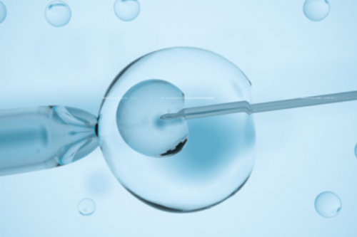 供卵试管代生-子宫内膜欠均匀就一定有问题吗