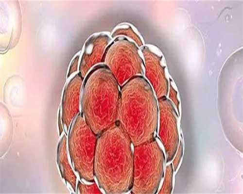 试管移植前吃什么好