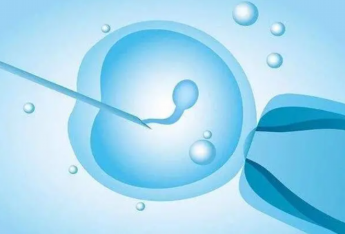 长沙第三代试管婴儿成功率有多高？大家来看看！