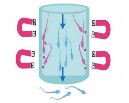 冻胚6细胞解冻后会分裂成双胞胎吗？