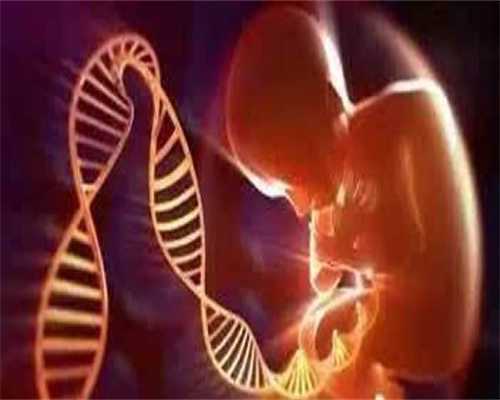 代生服务平台-胚胎级3cb囊胚、3cb囊胚移植成功率-3cb囊胚相当于几级胚胎！