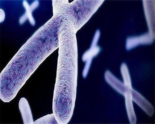 郴州试管婴儿价格高吗