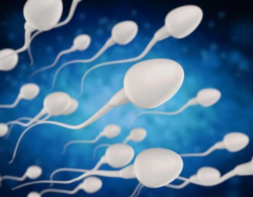 长沙哪家医院三代试管包生儿子成功率最高