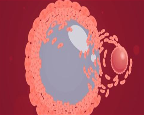 湘潭正常人做三代试管的成功率？湖南湘雅医院三代试管婴儿成功率高吗？