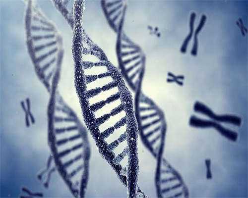 长沙哪家医院试管成功率最高呢