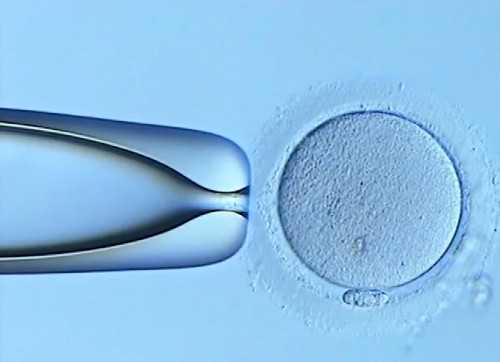 长沙试管婴儿价格表最新