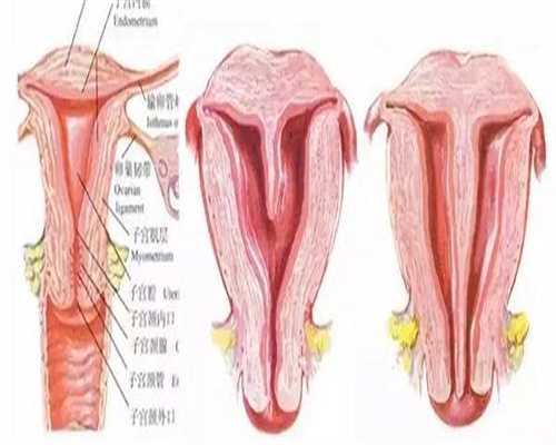 长沙湘潭可以做试管婴儿吗？哪家医院可以做试管婴儿？