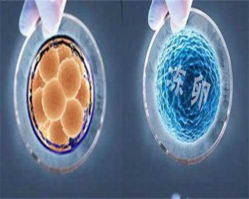 代生孩子价格-单角子宫备孕小窍门分享单角子宫能自然受孕吗