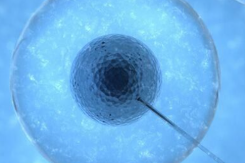 代生孩子服务-国内试管婴儿在湘潭做怎么样？有哪些医院能做三代试管？