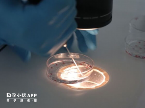 代生小孩费用-湖南常德供卵试管机构排名一览？