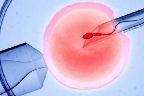 双胞胎都是胚胎分裂形成的吗？