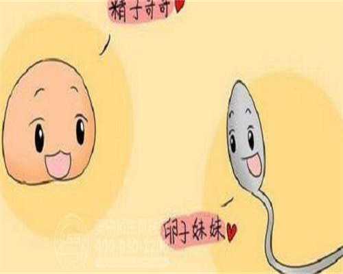 助孕试管电话-盘点促排卵期间同房的影响？赶紧了解一下！