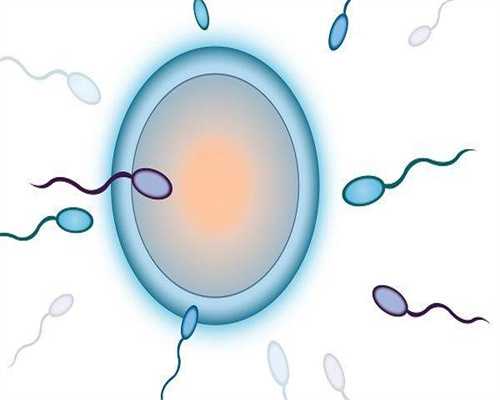 做试管婴儿有什么优惠？