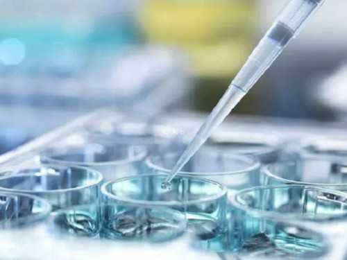 移植14天怀孕还要不要打黄体酮？移植后黄体酮打到多少周？