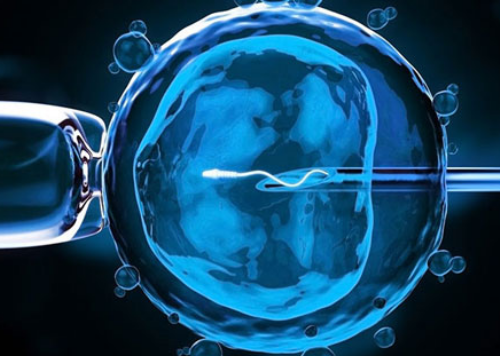 排卵期出血是卵泡破裂吗