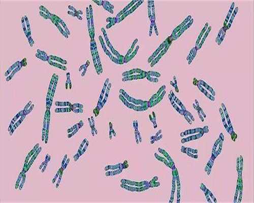 最佳代生网-试管婴儿详细全过程，试管全流程指南