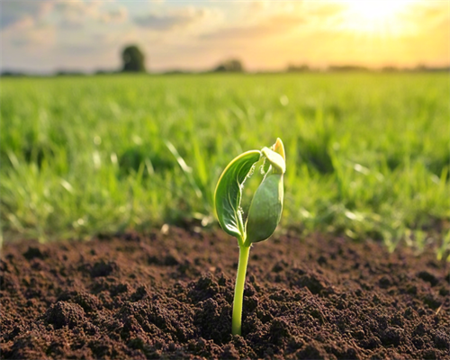 金华第三代试管婴儿医院费用解读！